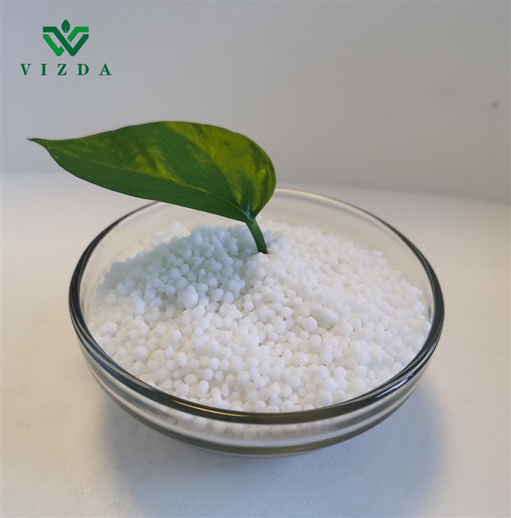 Calcium Magnesium Nitrate: The Optimal Crop Nutrition Solution