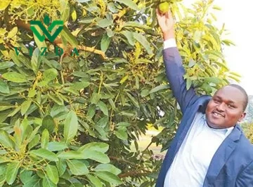 Uganda entwickelt energisch den ökologischen Landbau