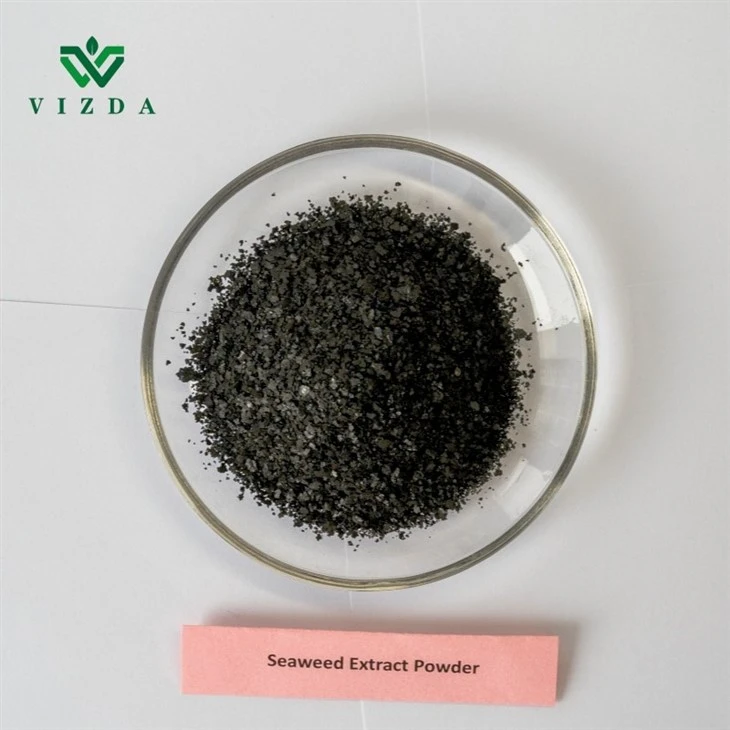 Seaweed Extract Black Flake