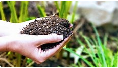 Der Markt für Biokohle-Düngemittel wächst bis 2033 auf bis zu 7.969,50 Millio...