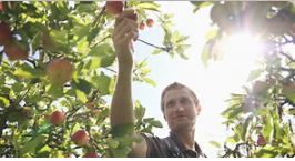 Wie Sie den richtigen Dünger für Ihre Obstbäume auswählen und anwenden