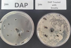 So sorgen Sie dafür, dass Herbstdüngeranwendungen mehr bewirken: Mit biologis...