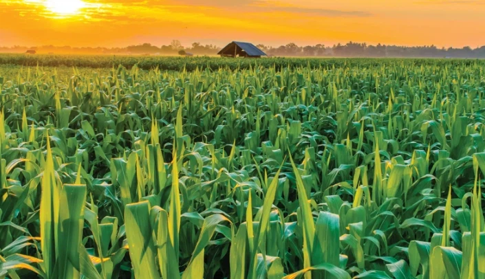 info-705-406 info-705-406