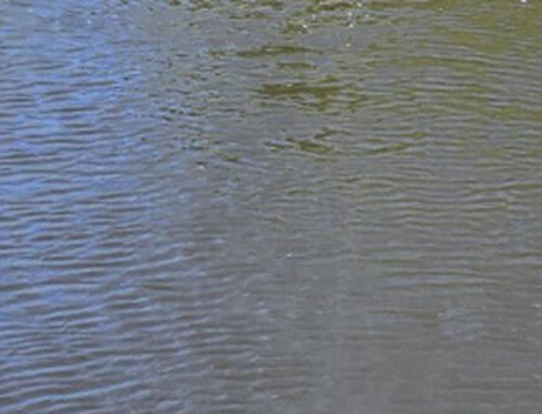 Auf einer Drohne-montiertes Labor überwacht den Düngemittelabfluss in Echtzeit