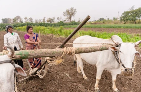 news-454-297 news-454-297